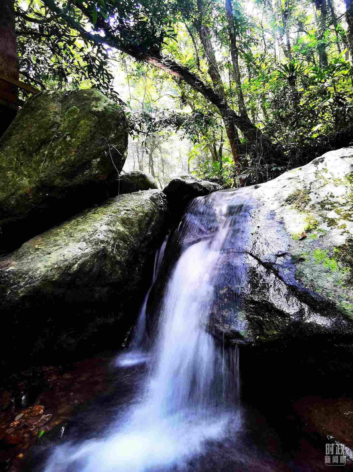 海南五指山。（總臺央視記者劉琦拍攝）