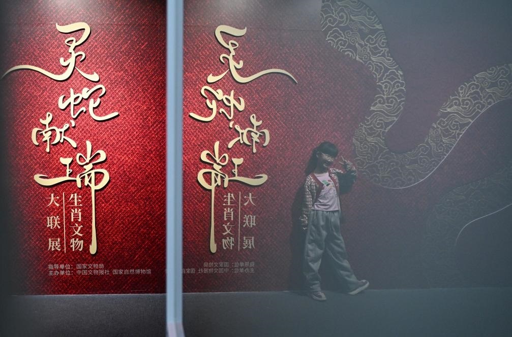 1月18日，一名小朋友在國家自然博物館舉辦的“靈蛇獻(xiàn)瑞——2025乙巳蛇年生肖文物大聯(lián)展”展覽中拍照留念。（新華社記者 陳鐘昊 攝）