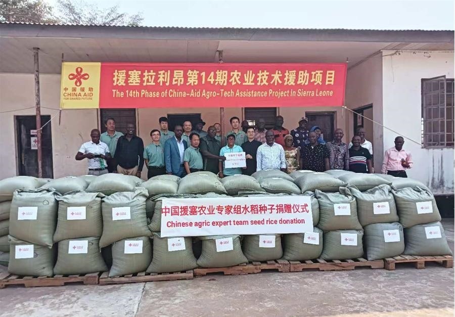 中國援塞拉利昂農(nóng)業(yè)專家組在塞南方省博城舉辦水稻種子捐贈(zèng)儀式。中國援塞農(nóng)業(yè)專家組供圖