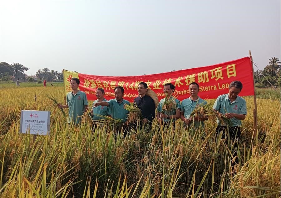 中國駐塞拉利昂大使王擎和援塞農(nóng)業(yè)專家組合影。中國援塞農(nóng)業(yè)專家組供圖