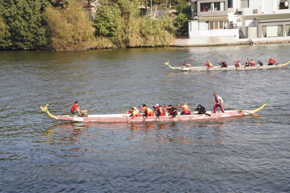 活動現(xiàn)場龍舟競技，共慶春節(jié)。開羅中國文化中心供圖