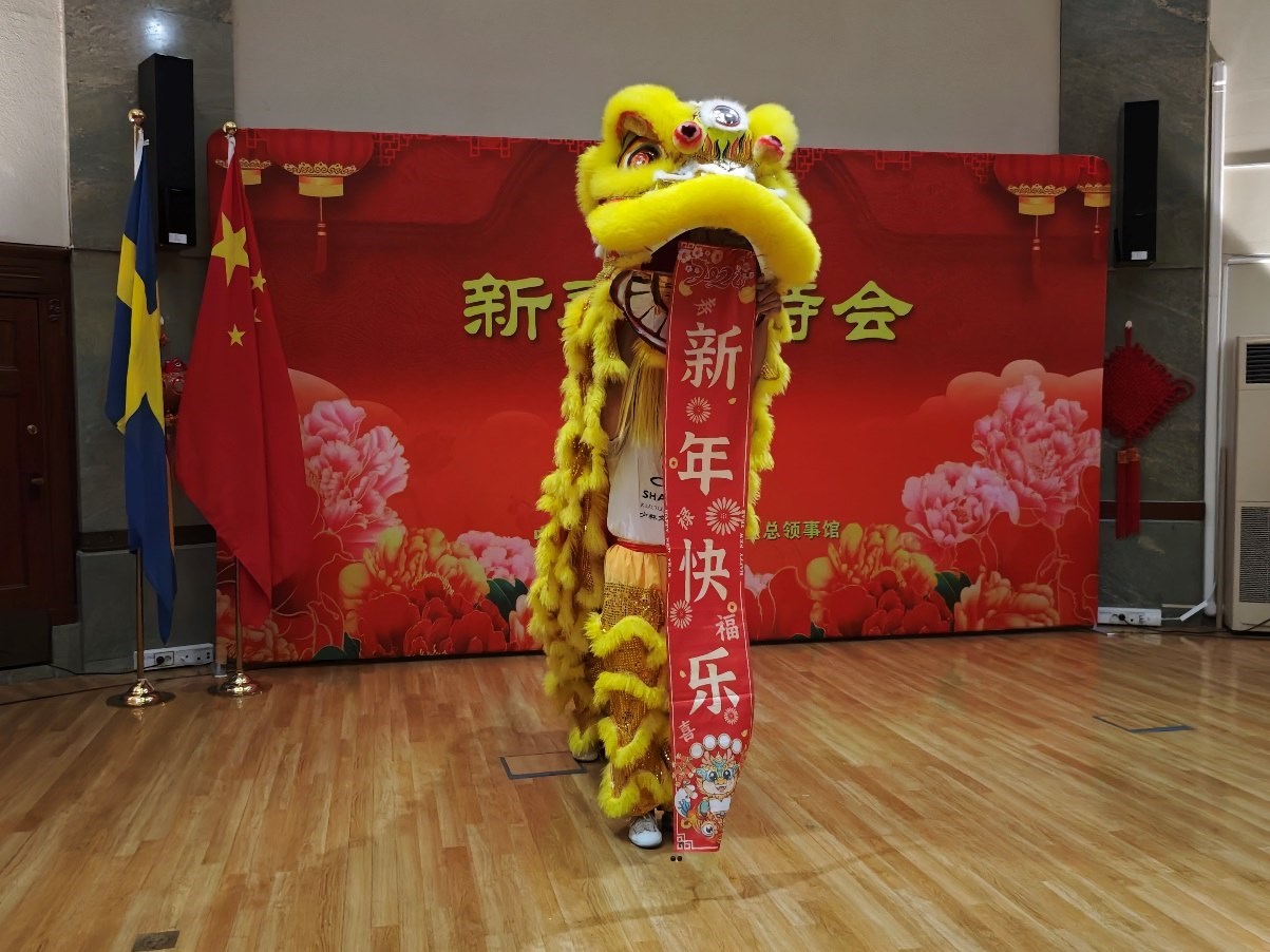 開場(chǎng)舞獅表演。中國(guó)駐哥德堡總領(lǐng)館供圖