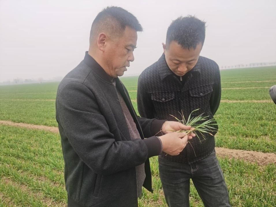 在山東濟(jì)寧汶上縣苑莊鎮(zhèn)，農(nóng)技員黃海龍對種糧大戶王振現(xiàn)場進(jìn)行春耕指導(dǎo)。人民網(wǎng)記者 車柯蒙攝