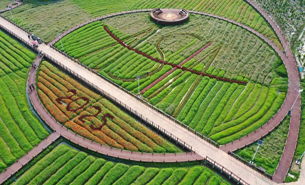 這是3月21日拍攝的瓊海博鰲南強村景色（無人機照片）。新華社記者 郭程 攝