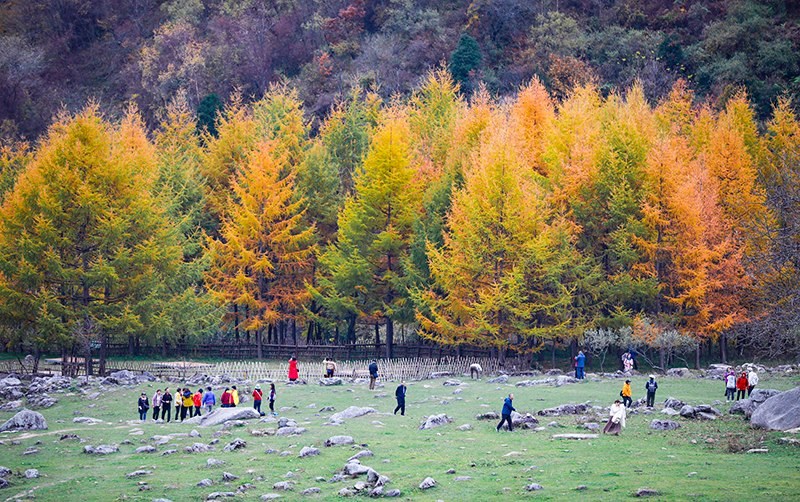 2023年10月27日，深秋時節(jié)的陜西秦嶺太子嶺五彩斑斕，進入最佳觀賞期。