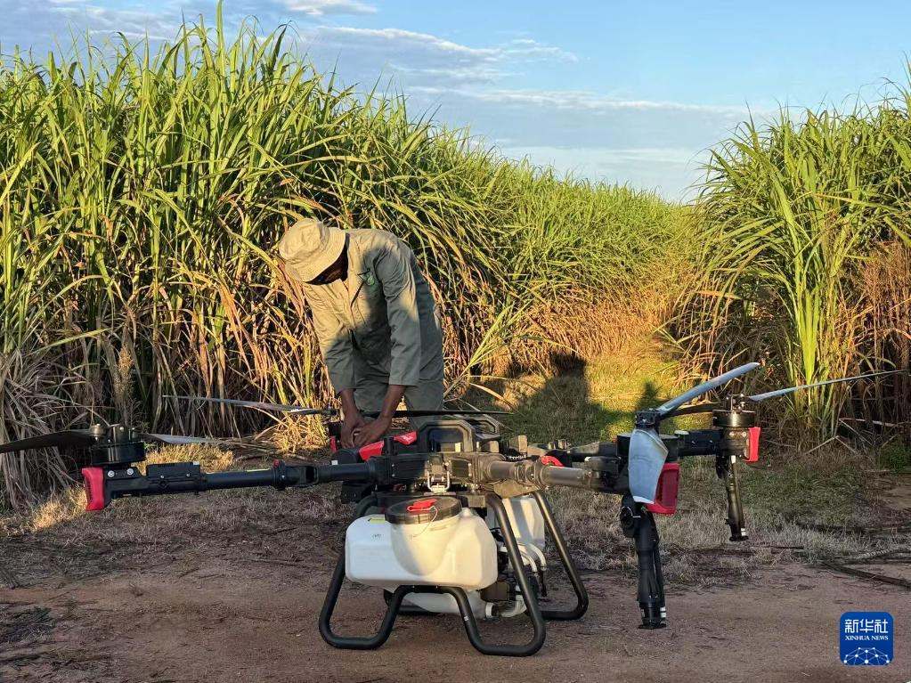 3月25日，在南非夸祖魯-納塔爾省的方廷希爾莊園，工作人員為無人機做起飛作業(yè)前的準備。新華社記者 白舸 攝