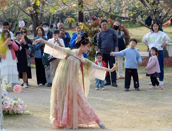 清明假期期間，上海顧村公園櫻花島上，游客在觀賞國風(fēng)漢服快閃表演。（圖片來源：視覺中國）