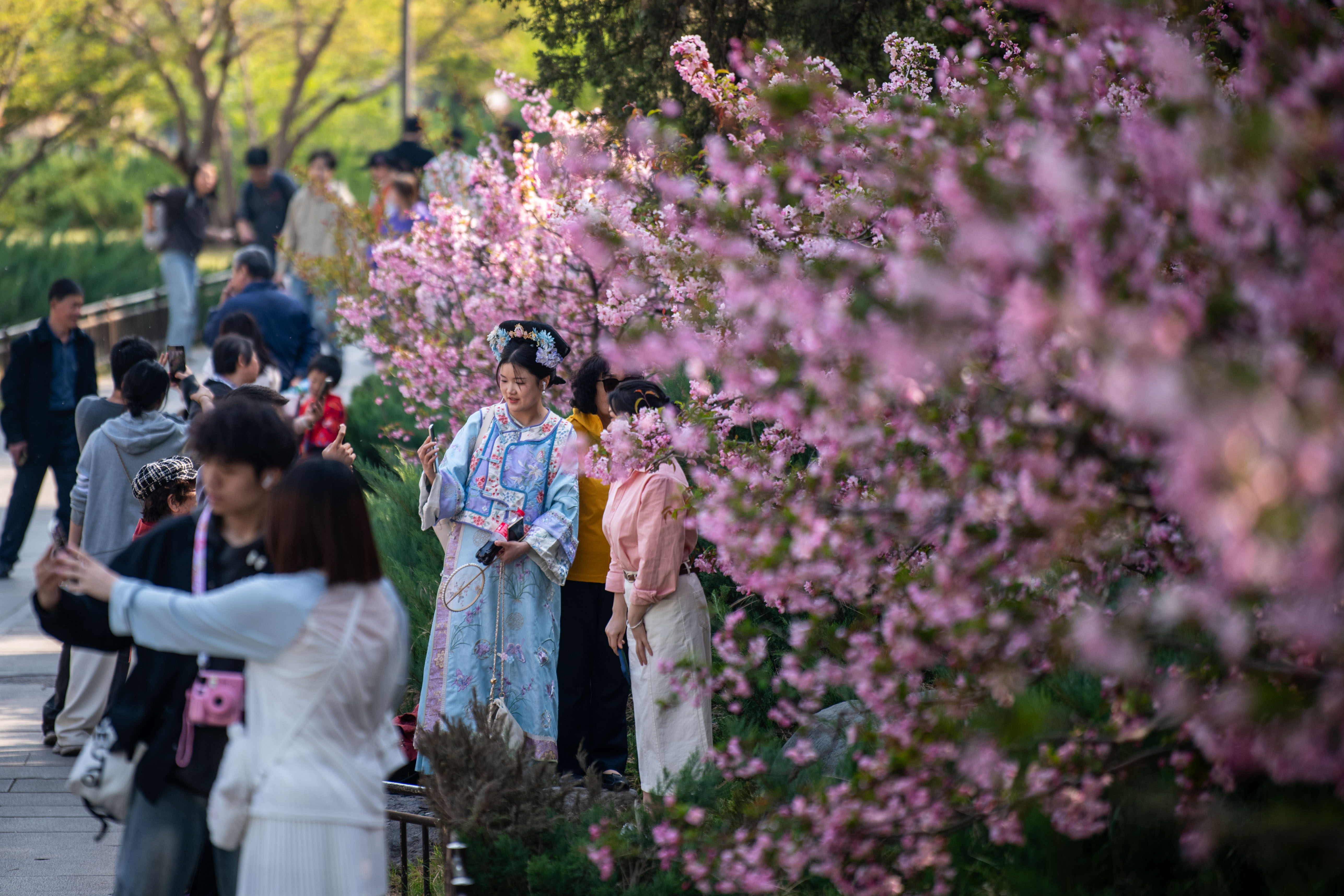 2025年4月6日，北京北海公園，滿園春色醉游人。人民網(wǎng)記者 翁奇羽攝