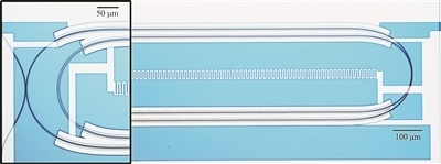 微波光量子傳感器的光學(xué)顯微照片。圖片來(lái)源：美國(guó)哈佛大學(xué)