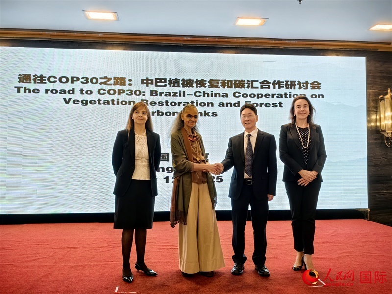 中國國家林業(yè)和草原局副局長李云卿（右二）、巴西環(huán)境和氣候變化部部長瑪麗娜·席爾瓦（左二）、巴西財(cái)政部副部長羅熙丹（右一）、巴西駐華大使館公參樂美（左一）出席“通往COP30之路：中巴植樹造林和碳匯合作研討活動(dòng)”。人民網(wǎng)記者 符園園攝