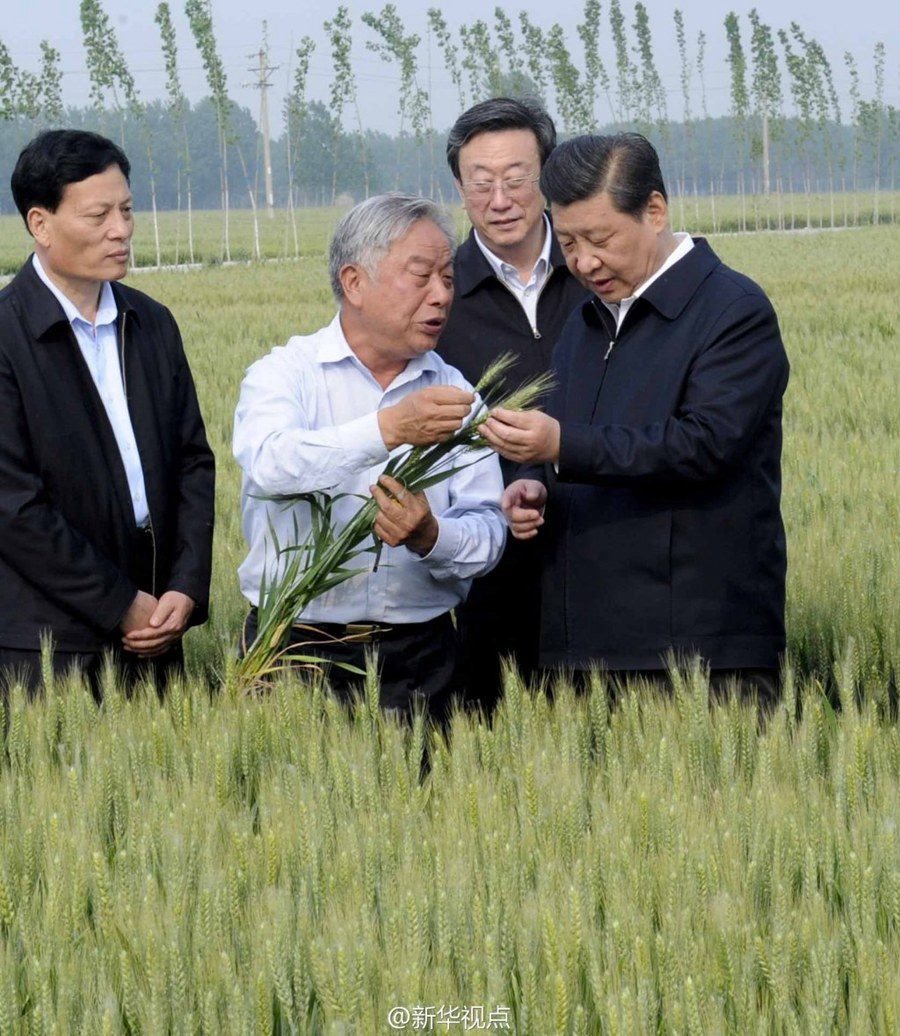 2014年5月，習(xí)近平總書記在河南省尉氏縣張市鎮(zhèn)高標(biāo)準(zhǔn)糧田察看小麥長勢。