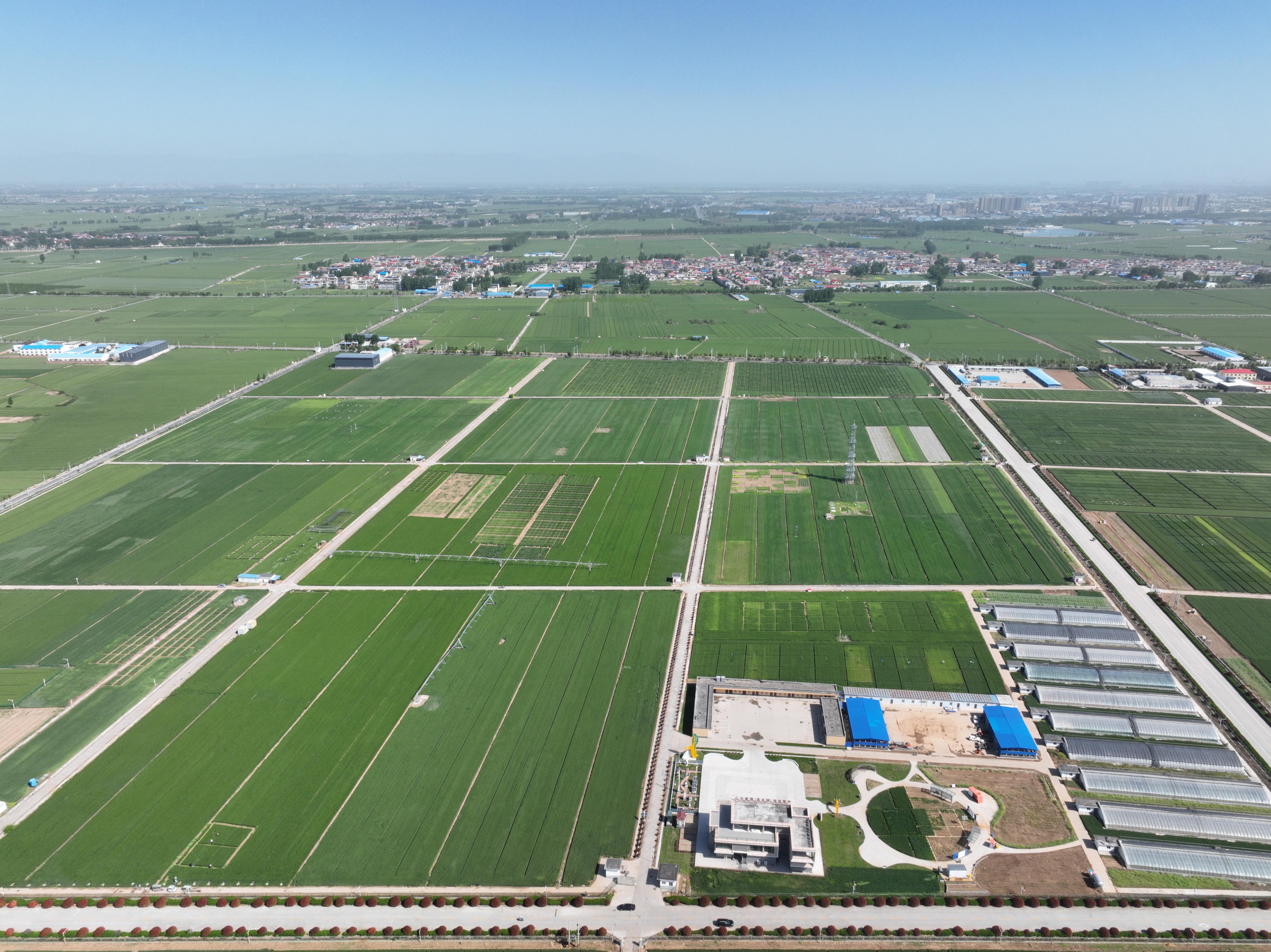 俯瞰水利部灌溉試驗(yàn)總站試驗(yàn)研究基地。受訪者供圖