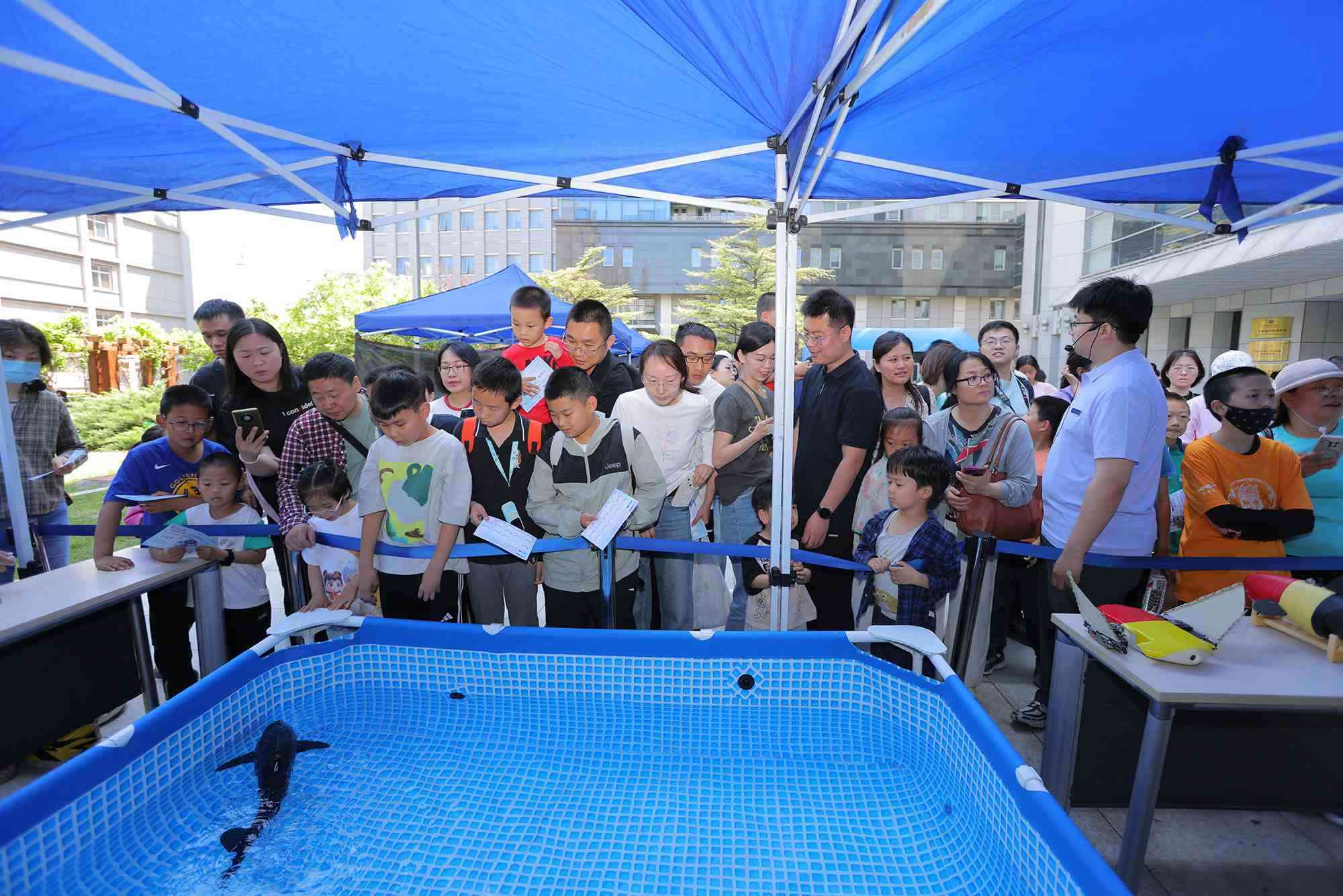 水下仿生機(jī)器魚在活動(dòng)現(xiàn)場大受歡迎。中國科學(xué)院自動(dòng)化研究所供圖